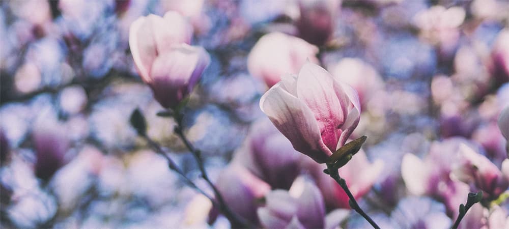 Que faire à Lyon au mois de mars ?