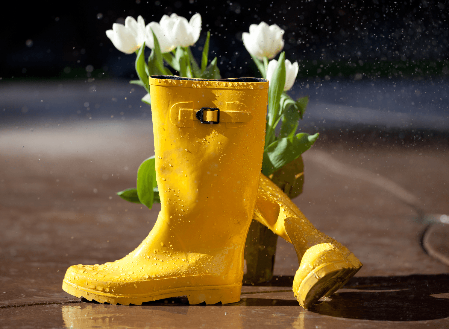 Que faire à Lyon au mois d’avril ?